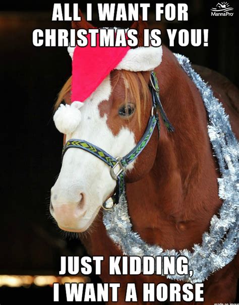 funny christmas horse memes